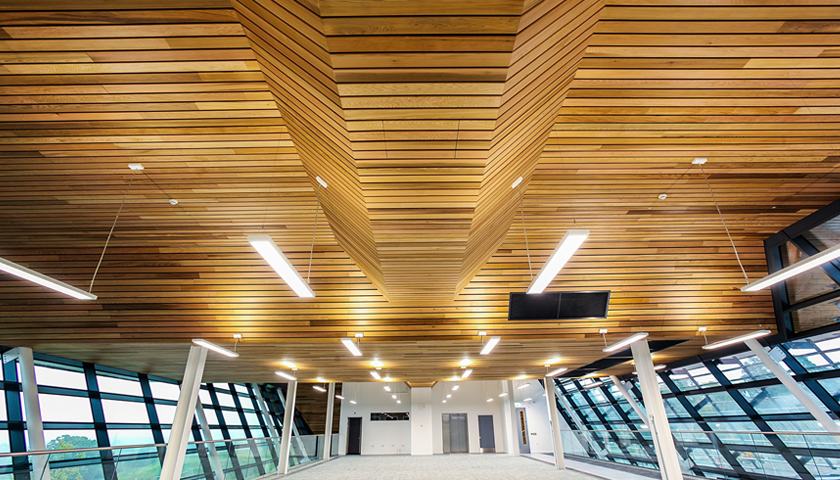 Wood Ceiling System Installed At Leading Science Park Development